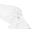 mon bercail teophile taie traversin alexandre turpault neige.png