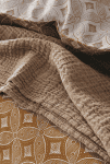 mon bercail jazzy essix couvre details.png